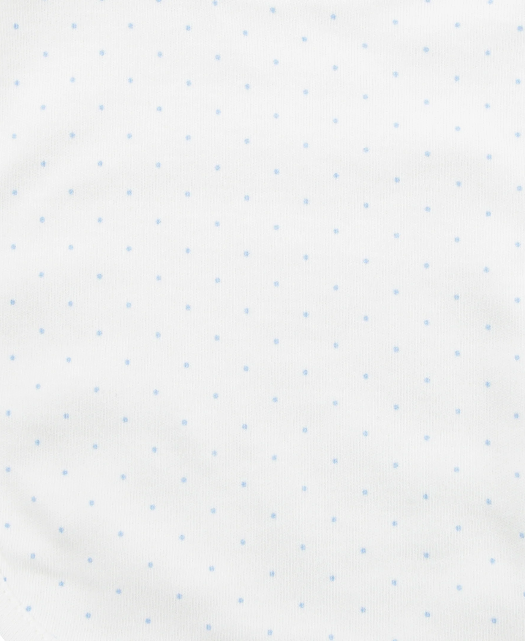 Blue Roses Bib & Burp Set - Image 4