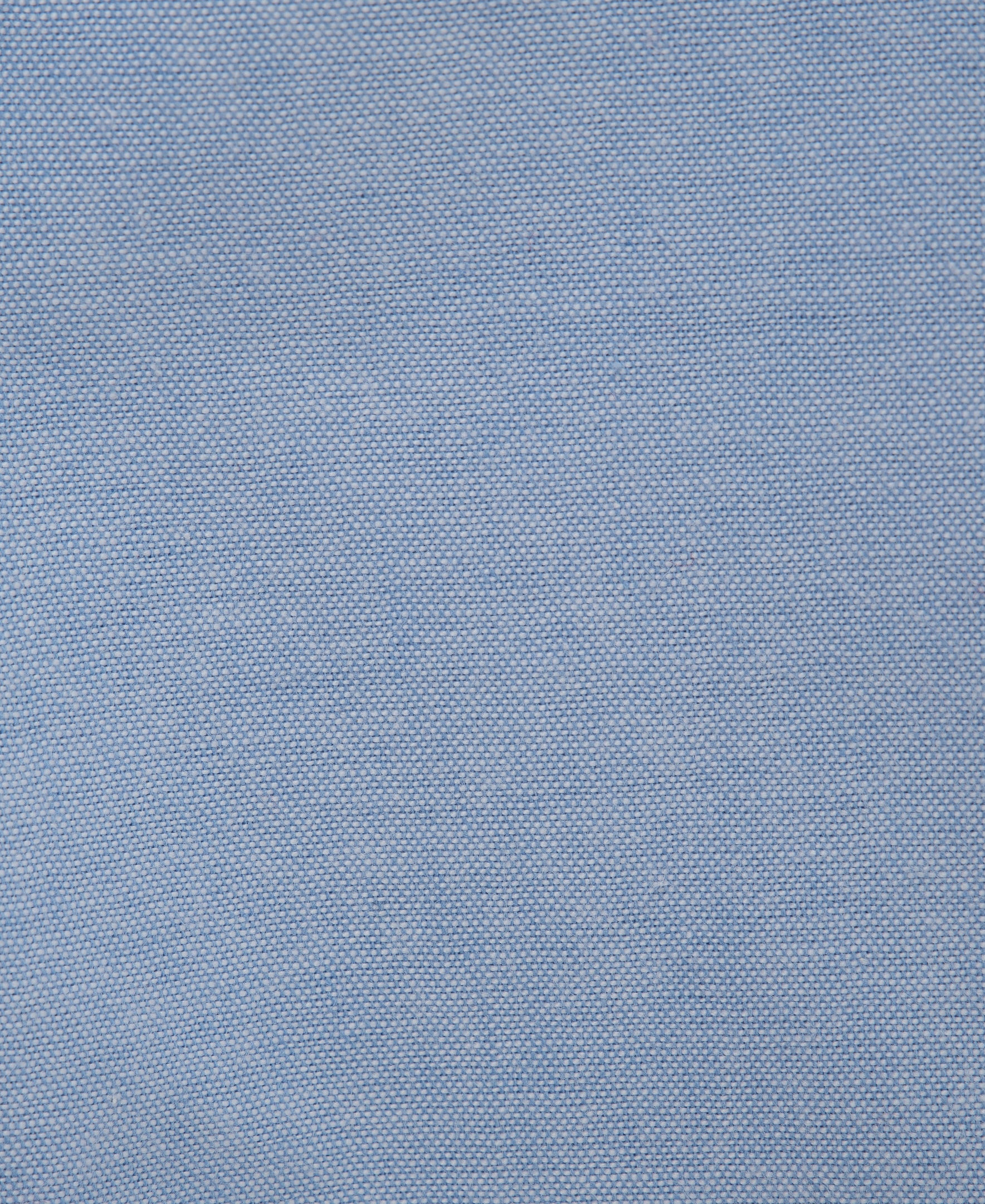 Whale Polo & Pant Set - Image 3